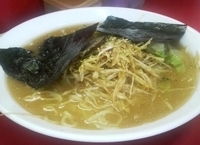 「味噌ラーメン+ネギ」@ラーメン子安の写真
