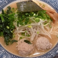 「濃厚魚介らーめん」@麺屋 一燈の写真