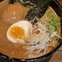 「かつを・醤油 + 味つき玉子」@角丸いっき 深川店の写真