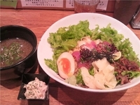 「【今月の創作】初鰹の冷たいつけ麺 チーズと豆の魚醤サラダ」@麺や 庄のの写真