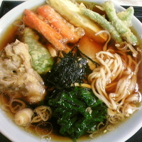 「ラーメン（麺硬め）¥570 天ぷら¥310」@更科の写真