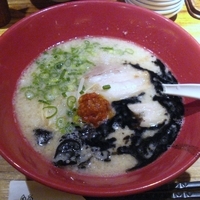 「赤丸かさね味 800円+替え玉 25円」@一風堂 薬院店の写真