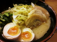 「塩やまとらーめん970円（麺:固め）」@横浜豚骨らーめん やまと屋の写真