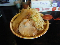 「肉そば（小）+野菜/ニンニク」@自家製麺 てんかの写真