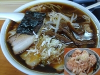 「チャーシューワンタンメン」@支那ラーメン 桂山の写真