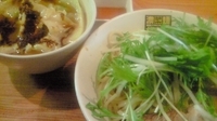 「辛辛濃菜つけ麺（辛さ控えめ）「水菜と大根トッピング」+ぽん酢」@濃菜麺 井の庄の写真