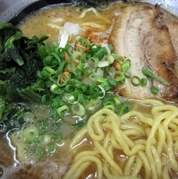 「濃厚鶏白湯らーめん  800円」@二代目ラーメン処「まるは」 旬の写真