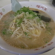九州ラーメン大盛り+へたどん（小）