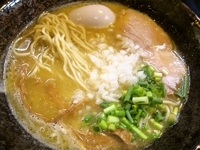 「とりそば（700円）+味玉（100円）」@麺堂 稲葉の写真