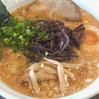 「しお豚骨らーめん ￥650」@麺家 いっぱちの写真