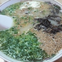 「博多豚骨ラーメン（カタ） ￥500」@博多 翔龍 つくば店の写真