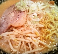 「こってりらーめん（みそ） 半チャーハン（700円+350円）」@北海道ラーメン めんぽぽの写真