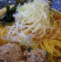 「濃厚魚介ラーメン  750円」@麺屋 一燈の写真