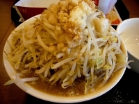 「ラーメン・中 （全増し・野菜ダブル）」@ジャンクガレッジ イオンレイクタウンmori店の写真