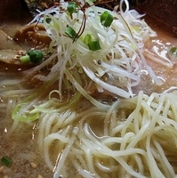 「塩ラーメン  780円」@麺酒場 でめきんの写真