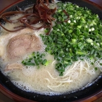 「博多ラーメン600円（ハリガネ）+ネギ大盛り100円+ミニチャー」@博多らーめん 万々の写真