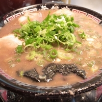 「とんこつラーメン」@無鉄砲 東京中野店の写真