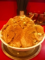 「ラーメン大800円魚粉50円 ヤサイ+ニンニクちょびっと」@ジャンクガレッジ 東大宮店の写真