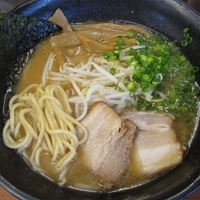 「宮崎ラーメン 650円」@ひむか屋の写真