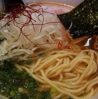 「塩ラー麺 700円」@麺 たいせいの写真