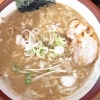 「中濃にぼし麺 （中盛） 850円」@大八車の写真