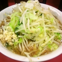 「小ラーメン」@ラーメン二郎 環七一之江店の写真