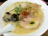 「濃厚鶏そば塩」@麺や 福座の写真