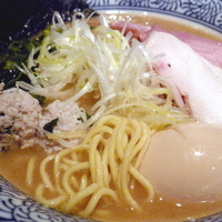 「特製濃厚魚介らーめん 900円」@麺屋 一燈の写真