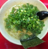 「塩らーめん（九条ネギ）（800円）」@信楽茶屋 らーめんとろちゃの写真