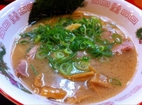 「鶏白湯博多麺 （期間限定メニュー）」@ラーメン たんろん 本店の写真