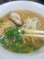 「中華そば（500円）」@廣島中華そば 兎の写真