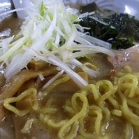 「ラーメン  550円」@とんこつラーメン一代 総本山の写真