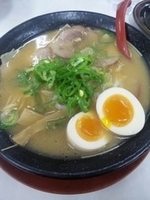 「ラーメン（並・煮玉子トッピング）」@ラーメン 横綱 豊山店の写真