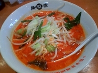 「野菜担々麺（780円）+3辛（60円）+〆ライス（50円）」@陳麻家 春日部武里店の写真