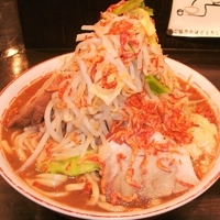 「えびみそらーめん（850円）+ニンニク」@らーめん まぜそば がっつんの写真