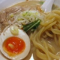 「塩汁麺  800円」@麺食堂 Xの写真