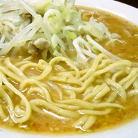 「味噌らーめん ￥800」@ラーメン中本 新宿店の写真