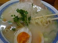 「軍鶏白湯塩ラーメン（1日限定20食,手打ち麺選択） 800円」@軍鶏ラーメン美幸の写真