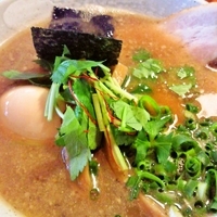 「特製中華そば」@麺 匠仁坊の写真