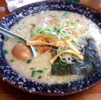 「味噌ホルモン」@貴生 奥戸店の写真