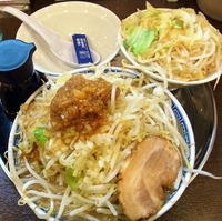 「角ふじ麺 中盛 （野菜増 背脂増）」@熊谷 大勝軒 赤ふじの写真