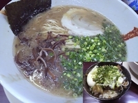 「博多長浜ラーメン（バリカタ）+辛子高菜+牛すじ丼」@らーめん 由宇松本の写真