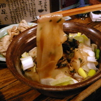 「麺のお刺身 500円」@すごい煮干ラーメン凪 新宿ゴールデン街店 本館の写真