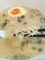 「博多とんこつラーメン味玉￥600」@博多とんこつ だいだいの写真