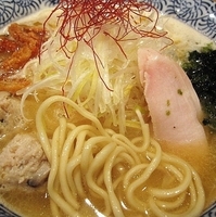 「純鶏白湯【昼限定】 780円」@麺屋 一燈の写真