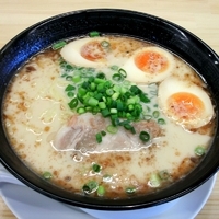 「てるて半熟味玉らーめん（600円）」@てるてら～めん 本気うま亭 本店の写真