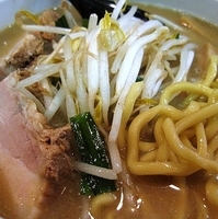 「味噌ラーメン（麺少なめ） 750円」@味噌麺処 花道庵の写真