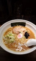 「醤油らーめん」@豚骨ラーメン 甲斐の写真