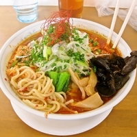 「2月の一杯 横浜タンタン麺（メチャ辛） 800円」@MENYA 食い味の道有楽の写真