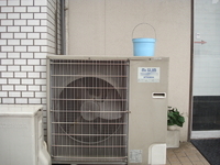 「普通のラーメン 600円+替え玉（カタ） 150円」@博多元気一杯‼︎の写真